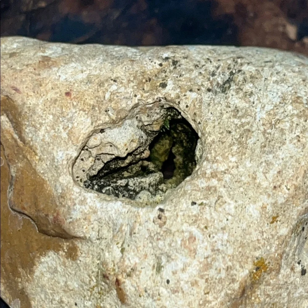 Natural Rock With Holes Found in off grid creek bed Southern TN Set of 2